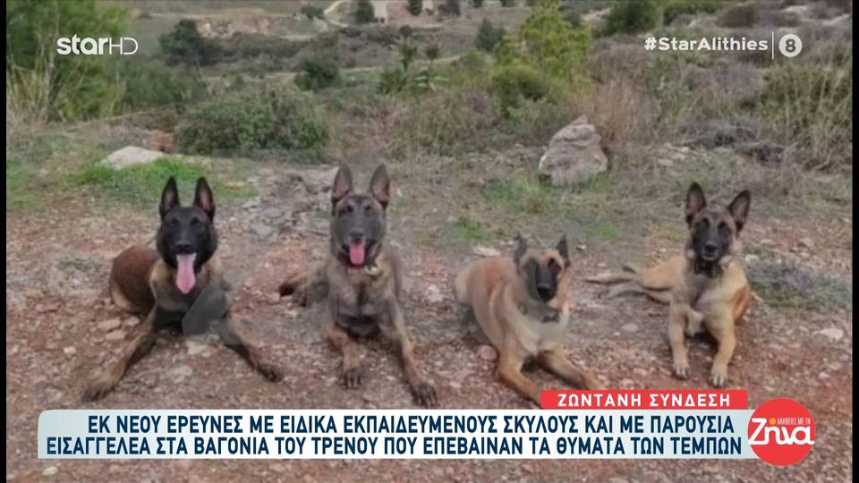 Τέμπη: Νέες έρευνες με ειδικά εκπαιδευμένους σκύλους και με παρουσία εισαγγελέα στα βαγόνια του τρένου