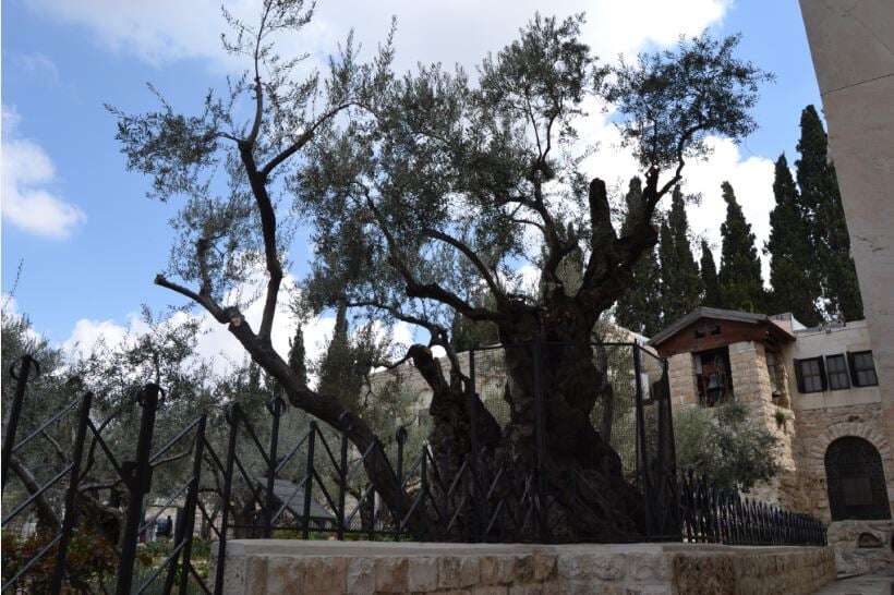 Στη δημοσιότητα για 1η φορά: O ιερός τόπος όπου προσευχήθηκε για τελευταία φορά ο Χριστός πριν την μαρτυρική σταύρωση