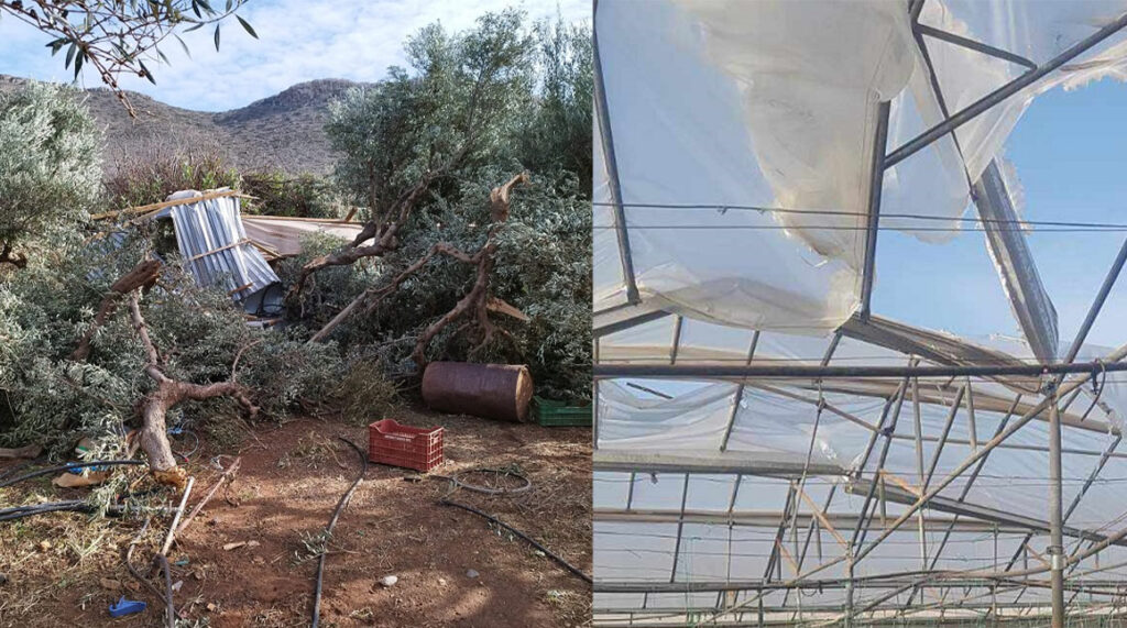 Κρήτη Φαλάσαρνα: Ανεμοστρόβιλος προκάλεσε τρομερές καταστροφές σε θερμοκήπια, ελιές και καταστήματα