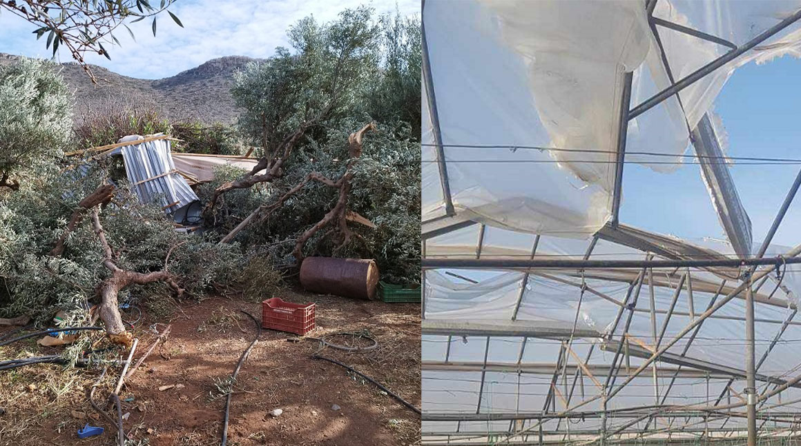 Κρήτη Φαλάσαρνα: Ανεμοστρόβιλος προκάλεσε τρομερές καταστροφές σε θερμοκήπια, ελιές και καταστήματα