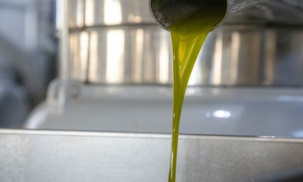 Ελαιόλαδο: Μεγάλη προσοχή – Πώς θα καταλάβετε πως σας έδωσαν νοθευμένο