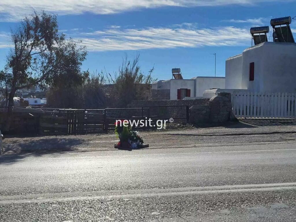 Μύκονος: Σε σοκ η οικογένεια του 39χρονου Μιχάλη που έπεσε νεκρός όταν αγελάδα τον κάρφωσε στην καρδιά