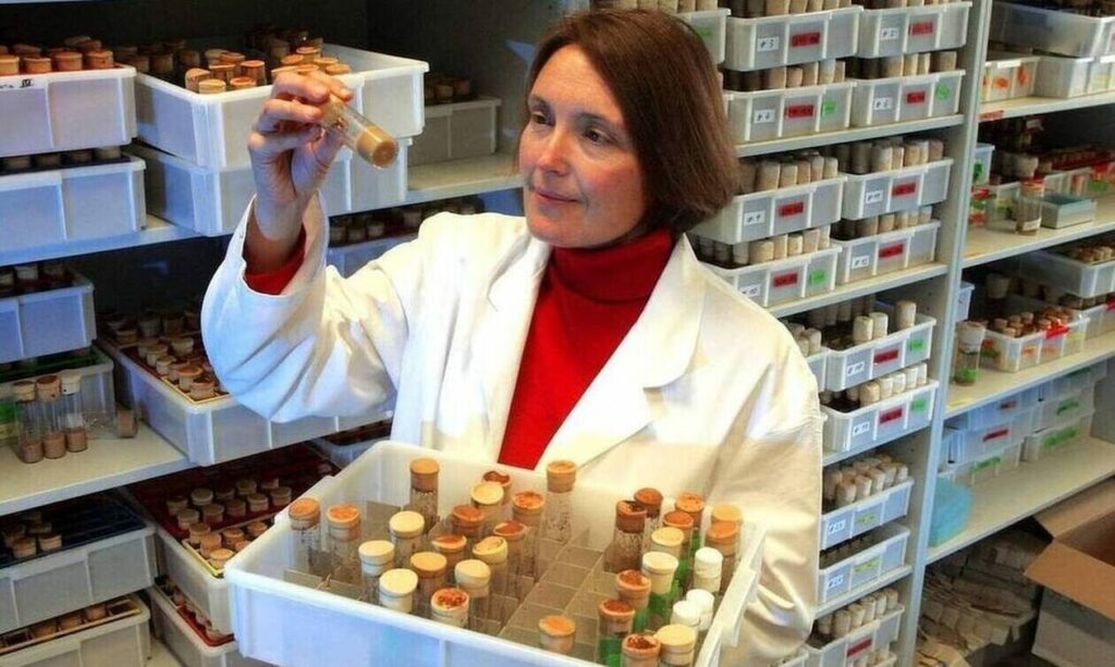 Αναβιώνει στο Εφετείο η φρικτή δολοφονία της διακεκριμένης Αμερικανίδας μοριακής βιολόγου Σούζαν Ίτον