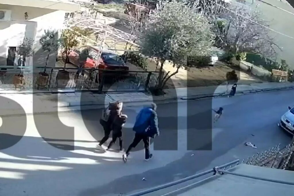 Η στιγμή της επίθεσης του σκύλου στο 9χρονο αγόρι στο Καματερό – Βίντεο ντοκουμέντο