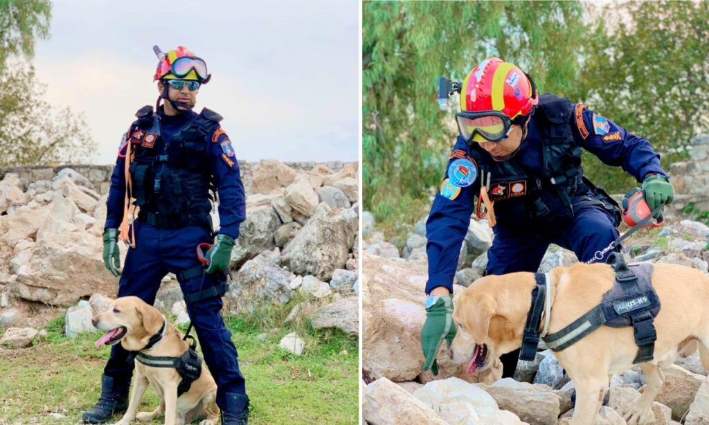 Συγκίνηση: Το Πυροσβεστικό Σώμα αποχαιρετά τον διασωστικό σκύλο και αρχιπυροσβέστη Μαξ- «Αντίο συνάδελφε»