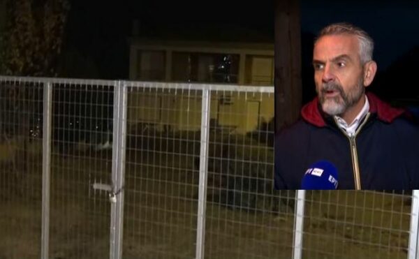 Φρίκη στην Θεσσαλονίκη: «Τα σκυλιά έχουν ξεφύγει πολλές φορές – Έμειναν δύο παιδιά ορφανά» λέει ο πρώην σύζυγος της 50χρονης
