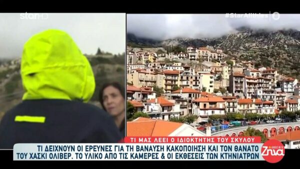 Κακοποίηση στην Αράχωβα-Ξεσπά ο ιδιοκτήτης του Όλιβερ: Έχω οργή και θυμό. Μου αφαίρεσαν ένα μέλος από την οικογένειά μου…