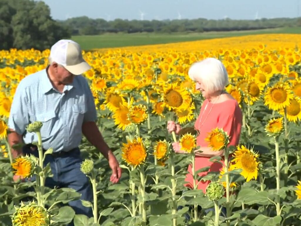 75χρονος αγρότης πήγε τη σύζυγό στο χωράφι στην 50η επέτειο γάμου τους– Τότε της λέει «άνοιξε τα μάτια σου»