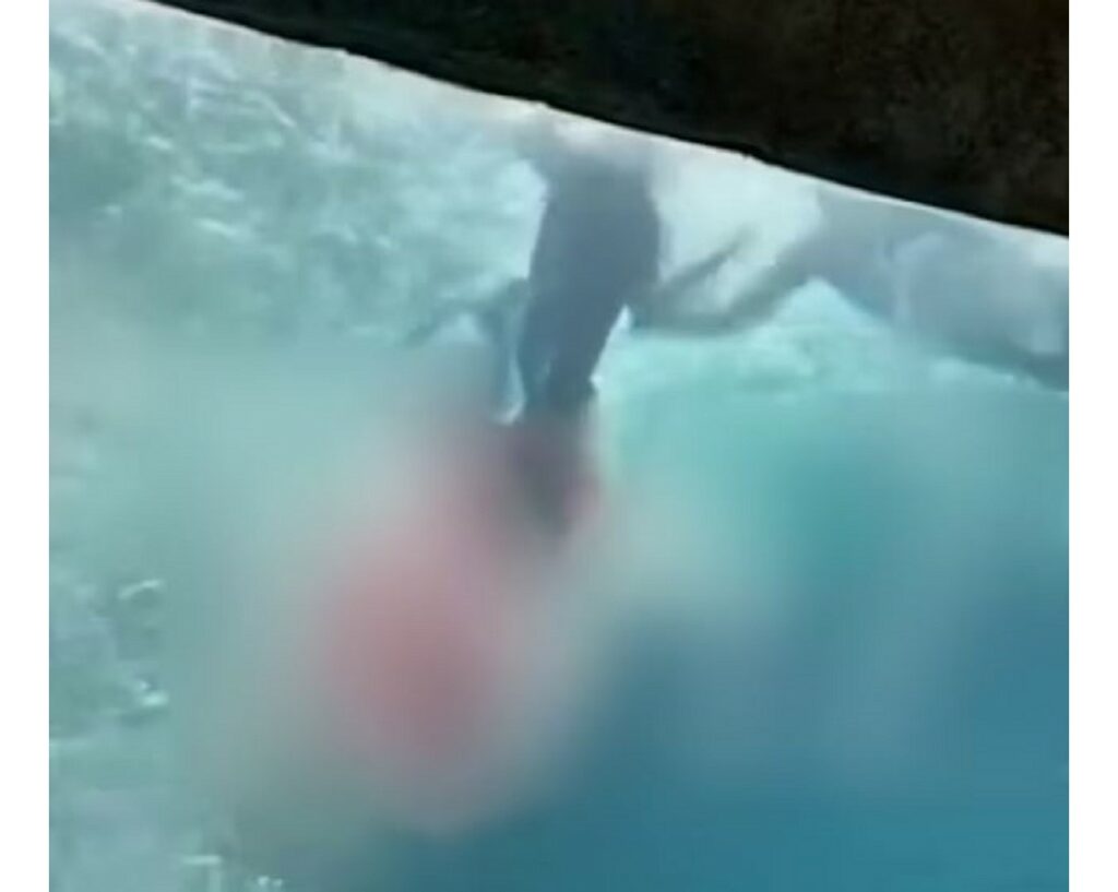Ανατριχιαστικό βίντεο από επίθεση καρχαρία σε 10χρονο – «Έγινε κόκκινο το νερό»