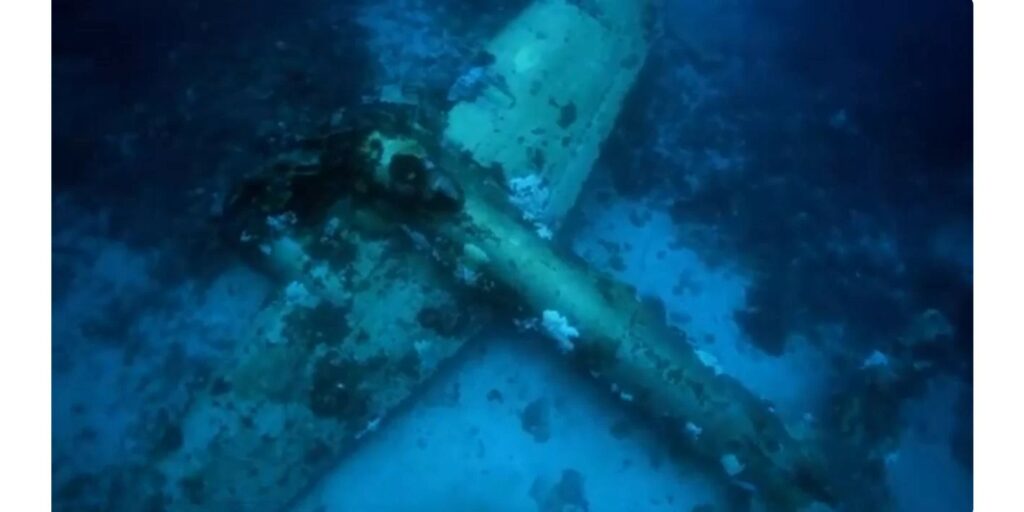 Αυτό είναι το μεγαλύτερο υποβρύχιο νεκροταφείο του κόσμου- Βρίσκεται κάτω από έναν επίγειο παράδεισο – Ανατριχιαστικές εικόνες με ανθρώπινα κρανία και κομμάτια από αεροσκάφη