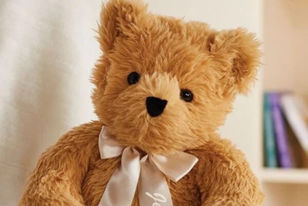 Θεσσαλονίκη: Για κακούργημα διώκεται η 26χρονη που παγίδευσε λούτρινο κουκλάκι για να παρακολουθεί τον πρώην σύζυγό της