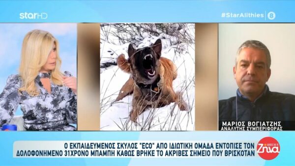 Όσα αποκαλύπτει ο εκπαιδευτής του Εcho, του σκύλου που βρήκε τη σορό του Μπάμπη: Την Κυριακή, ο Echo έδωσε σήμα σε περίπου απόσταση 500 μέτρων περίπου από το σημείο όπου βρέθηκε η σορός, όμως…