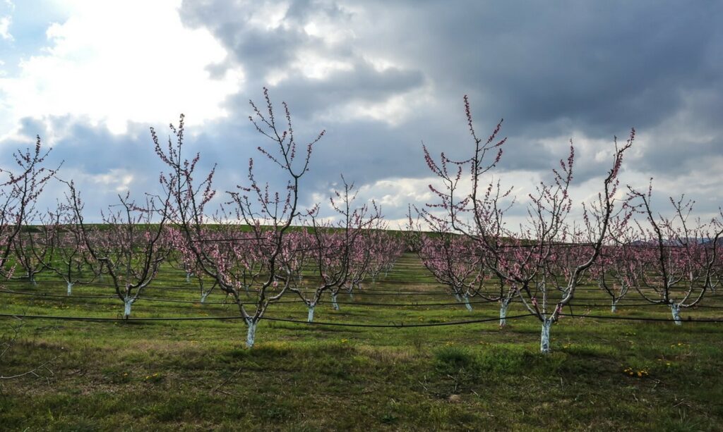 Αλλάζει ο καιρός: Έρχονται λασποβροχές και καταιγίδες – Μέχρι 26 βαθμούς η θερμοκρασία