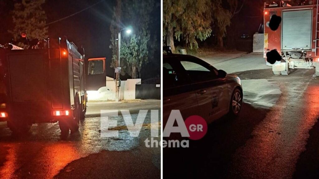 Κτηνωδία στην Χαλκίδα: Πέταξαν σκύλο σε κάδο απορριμμάτων και τον έκαψαν