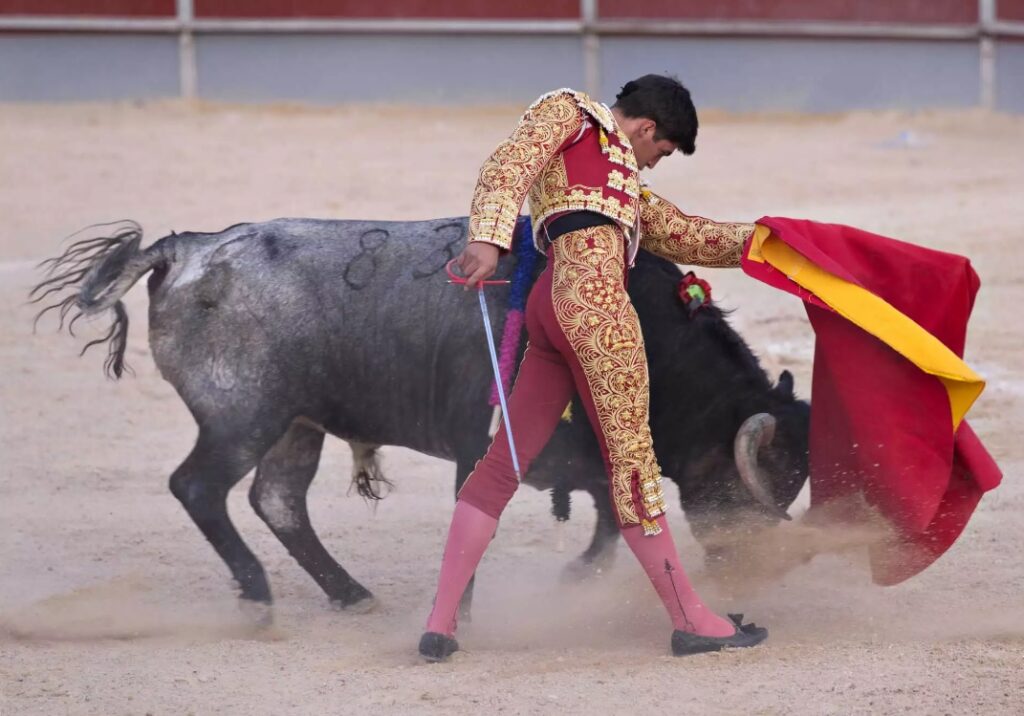 «Τρελαίνονται» όντως οι ταύροι με το κόκκινο χρώμα; Όσα δεν ξέρετε για τις ταυρομαχίες