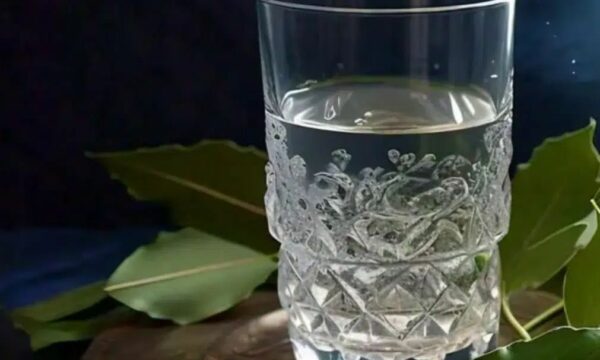 Γιατί πρέπει να βάζετε φύλλα δάφνης στο νερό πριν από τις 24 Δεκεμβρίου και για ποιο λόγο;