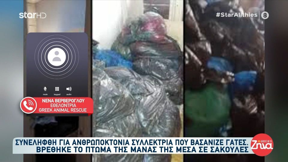 Συνελήφθη για ανθρωποκτονία 66χρονη συλλέκτρια που βασάνιζε γάτες – Βρέθηκε το πτώμα της μητέρας της μέσα σε σακούλες
