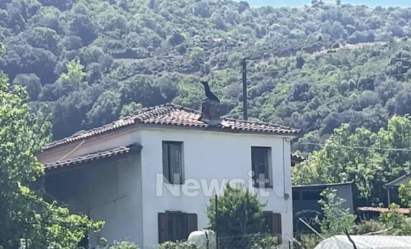 Αμφιλοχία: «Έπαιρνε ηρεμιστικά, αλλά δεν φαινόταν πως θα έκανε κάτι τέτοιο» λέει ο αδερφός του 67χρονου πατροκτόνου