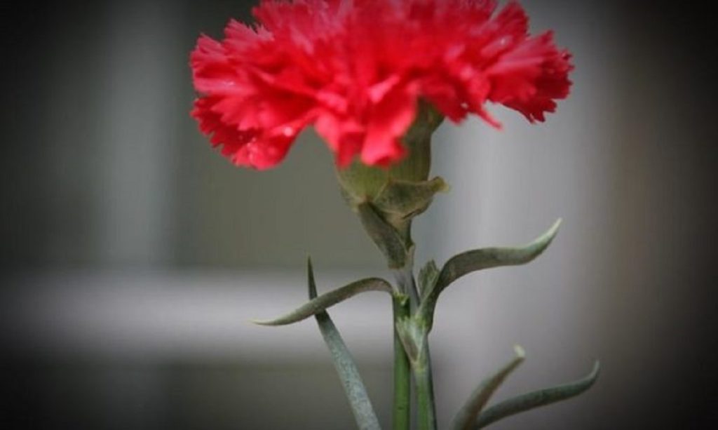 Πρωτομαγιά: Αυτά είναι 30 + 5 πράγματα που πρέπει να ξέρετε