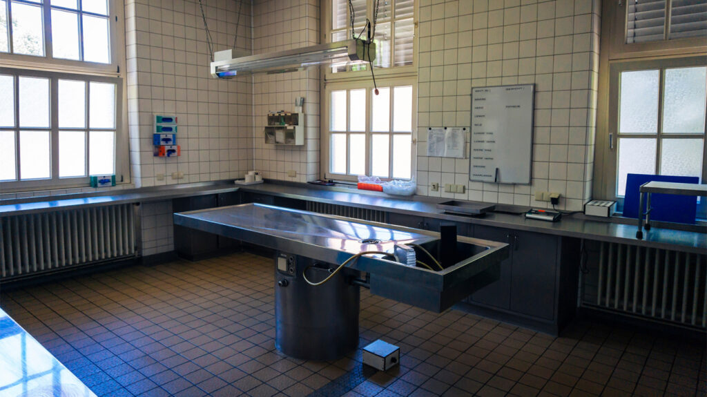 Κατεπείγουσα προκαταρκτική εξέταση για τους ιατροδικαστές της Πάτρας μετά από καταγγελίες για κακοποιήσεις και θανάτους βρεφών