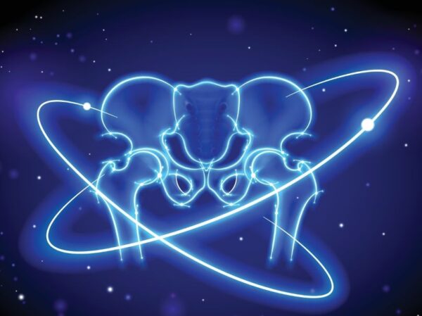 Άμεση κινητικότητα, ελάχιστος πόνος: Τεχνική AMIS για ολική αρθροπλαστική ισχίου