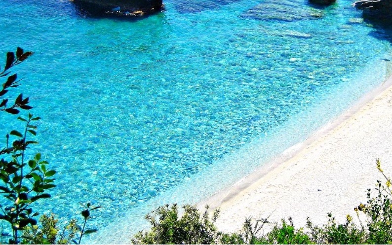 Πήλιο: Άγριος καβγάς σε παραλία που έκαναν γυμνισμό δύο άνδρες – Τρεις συλλήψεις