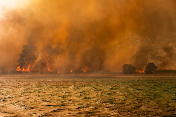 Φωτιά στη Χίο: 70.000 στρέμματα επηρεάστηκαν – Σπαρακτική η δορυφορική φωτογραφία του Copernicus