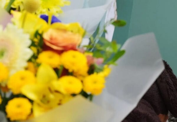 Η ιστορία του 3χρονου Daniel που «δεν υπήρξε ποτέ» μέχρι που βρέθηκε νεκρός