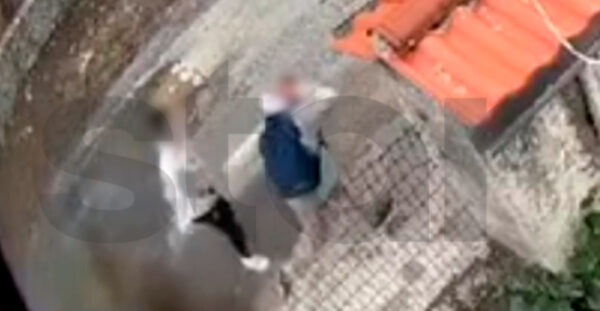 Για ένα κορίτσι έγινε η αιματηρή συμπλοκή 13χρονων στην Τρίπολη – Βαριά τραυματισμένος ο ένας ανήλικος