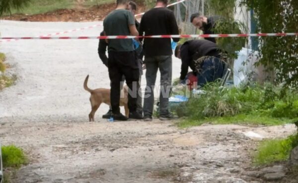 Σαλαμίνα: Με μαχαιριές στα χέρια η 75χρονη που δολοφόνησαν μέσα στο σπίτι της – Oι ληστές πίστευαν ότι απουσίαζε