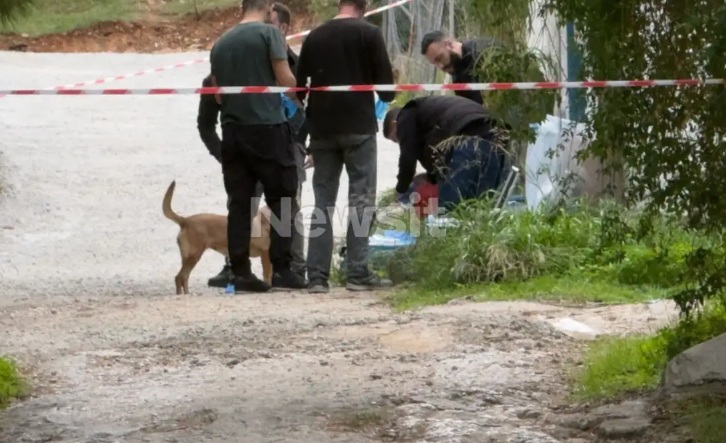 Σαλαμίνα: Μαρτυρικός ο θάνατος της 75χρονης σύμφωνα με τον ιατροδικαστή – Με πολλαπλές κακώσεις από ρόπαλο και κατσαβίδι το θύμα