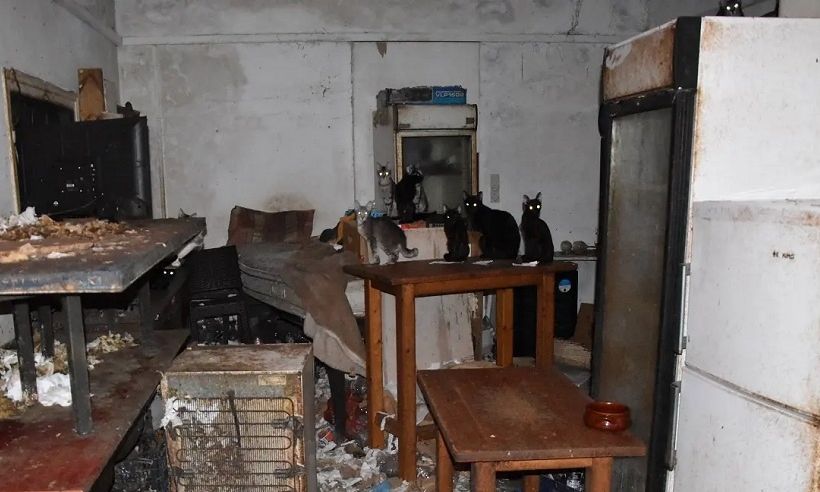 Άφησαν ελεύθερο τον βασανιστή ζώων του Μοσχάτου για να συνεχίσει το έγκλημα στη Δονούσα