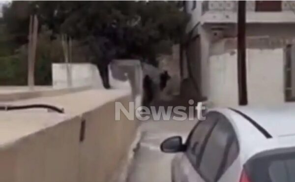 Bράζουν τα Βορίζια: Ο δεύτερος ελεύθερος σκοπευτής, το ανατριχιαστικό βίντεο και οι απολογίες των δύο συλληφθέντων στο νοσοκομείο