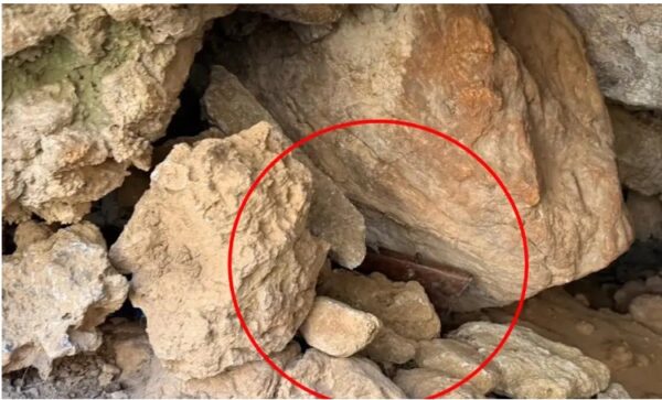 Βορίζια: «Ήταν παρών στο μακελειό» ο γαμπρός του Φανούρη Καργάκη που συνελήφθη – Η ανακοίνωση της ΕΛΑΣ