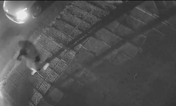 «Σβήσε το όχημα, κάτω»: Η στιγμή της σύλληψης του 16χρονου γιου του Κατρίνη στο Χαλάνδρι