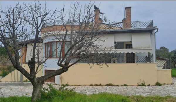 Μάκης Χριστοδουλόπουλος: Νέο «προσκλητήριο» για… πλειστηριασμό τον Ιανουάριο (pics)