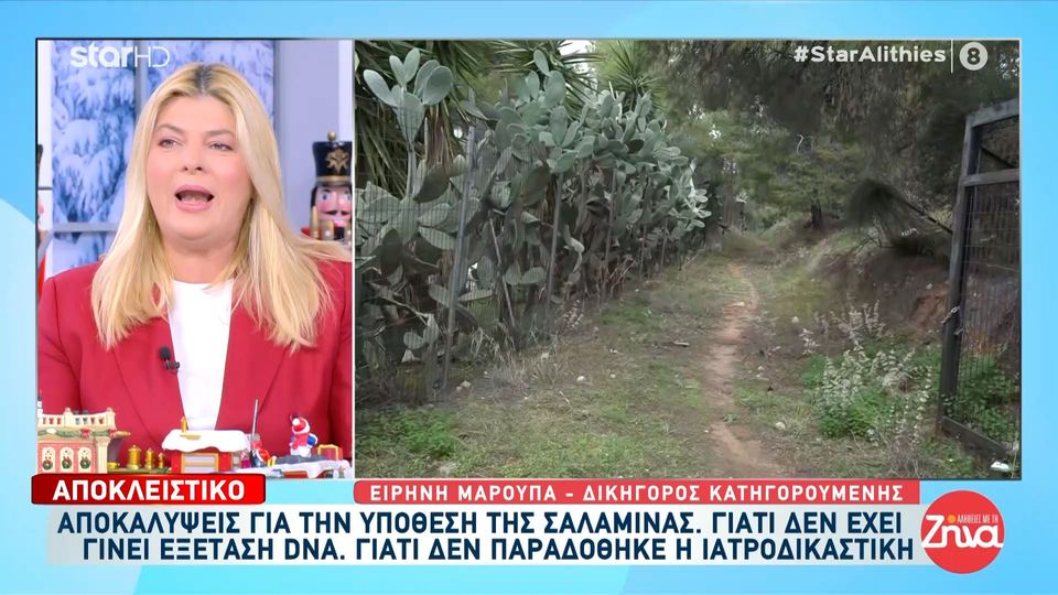 Νέες αποκαλύψεις και ντοκουμέντα στην άγρια δολοφονία της 75χρονης στη Σαλαμίνα: Οι κάμερες, η φιγούρα που φεύγει και η ηχητική δραστηριότητα αμέσως μετά