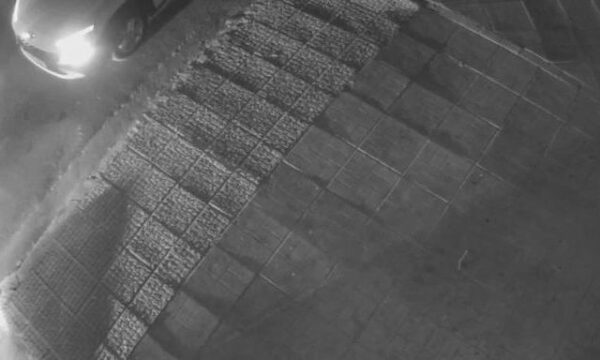 Χαλάνδρι: «Τα παιδιά τα χτύπησαν», λέει μητέρα ανήλικου που ήταν στο ΙΧ του γιου του Κατρίνη