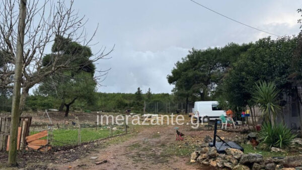 Η οικογένεια είχε βρει αδέσποτο το πίτμπουλ και το φιλοξενούσε μέχρι να δοθεί για υιοθεσία: Πώς έγινε η τραγωδία με τον 2χρονο στη Ζάκυνθο