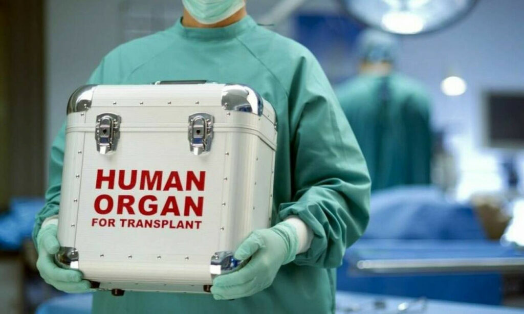 Μεταμόσχευση νεφρού στο Πανεπιστημιακό Νοσοκομείο Ιωαννίνων-Η συγκινητική επιστολή του λήπτη