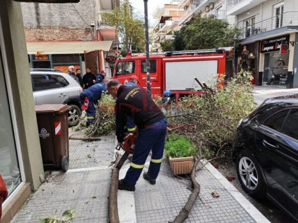 Κατερίνη: Σοκαριστικό βίντεο από πτώση δέντρου ανάμεσα σε πεζούς