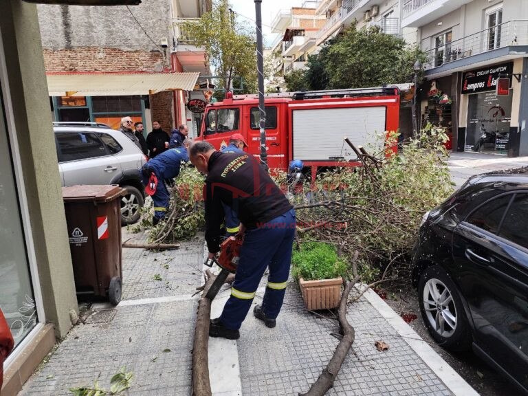 Κατερίνη: Σοκαριστικό βίντεο από πτώση δέντρου ανάμεσα σε πεζούς