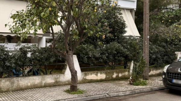 «Μαμά μου άνοιξε τα μάτια σου» φώναζε η 44χρονη: Συγκλονίζουν οι μαρτυρίες για την τραγωδία στην Ελευσίνα