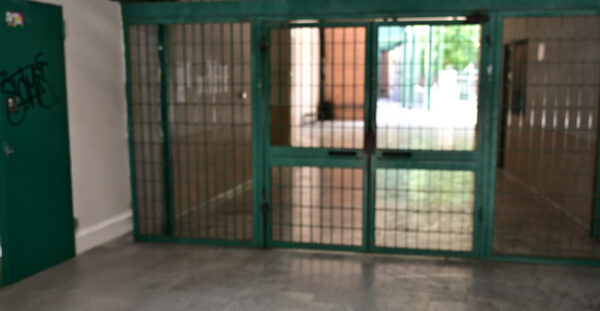 Καταγγελία για λεκτική κακοποίηση από φιλόλογο λυκείου στην Αγία Παρασκευή που χρησιμοποιεί τη μέθοδο «ανεστραμμένη τάξη»: Μαθητές κλαίνε στην τάξη