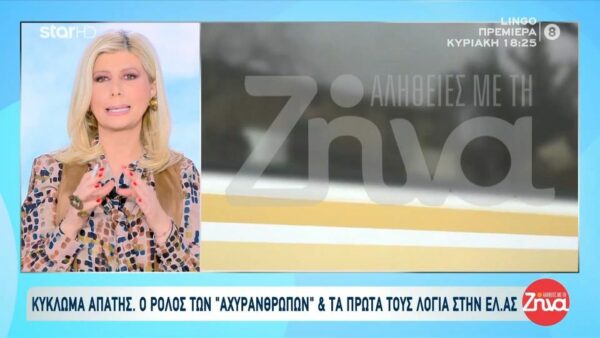 Κύκλωμα απάτης εκατομμυρίων σε βάρος του ΕΦΚΑ: Αυτοψία στις γειτονιές των «ανύπαρκτων» εταιρειών με τα εικονικά τιμολόγια