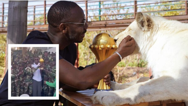 Κόπα Άφρικα: Το τρόπαιο φυλάσσεται από… λιοντάρια και στρατιώτες, δείτε βίντεο