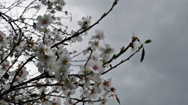 Ξαφνική «στροφή» του καιρού με πολύ κρύο – Πότε ξεκινά, πόσο θα διαρκέσει