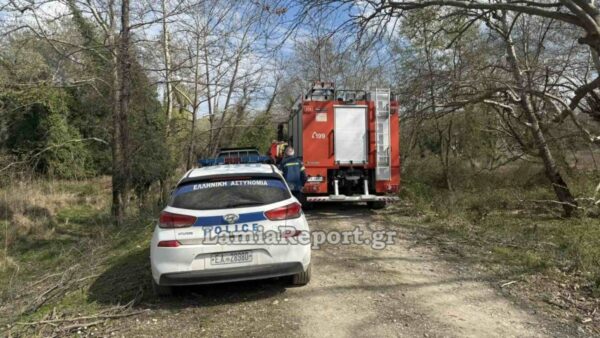 Τραγωδία: Νεκρός Λαμιώτης που καταπλακώθηκε από δέντρο – Το τραγικό συμβάν έγινε μπροστά στα μάτια της γυναίκας του