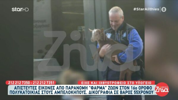 Μια…φάρμα των ζώων σε ταράτσα του 16ου ορόφου!Συνεργεία του δήμου απομάκρυναν κότες, πάπιες και κατσίκες – Είχε και ιχθυοτροφείο στο υπόγειο