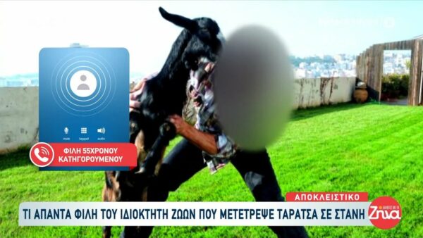 Αμπελόκηποι: Φίλη του ιδιοκτήτη ζώων «Είναι αξιόλογος άνθρωπος – Είχε πέντε πράγματα στο μπαλκόνι του»